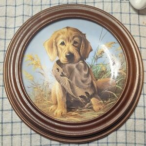 Golden Retriever Puppy Wall Art